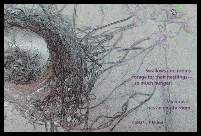 robin nest empty nest Ann E. Michael