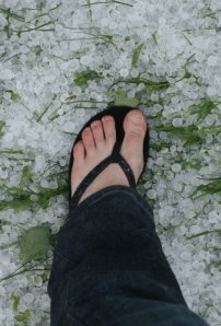 ann e. michael hail foot